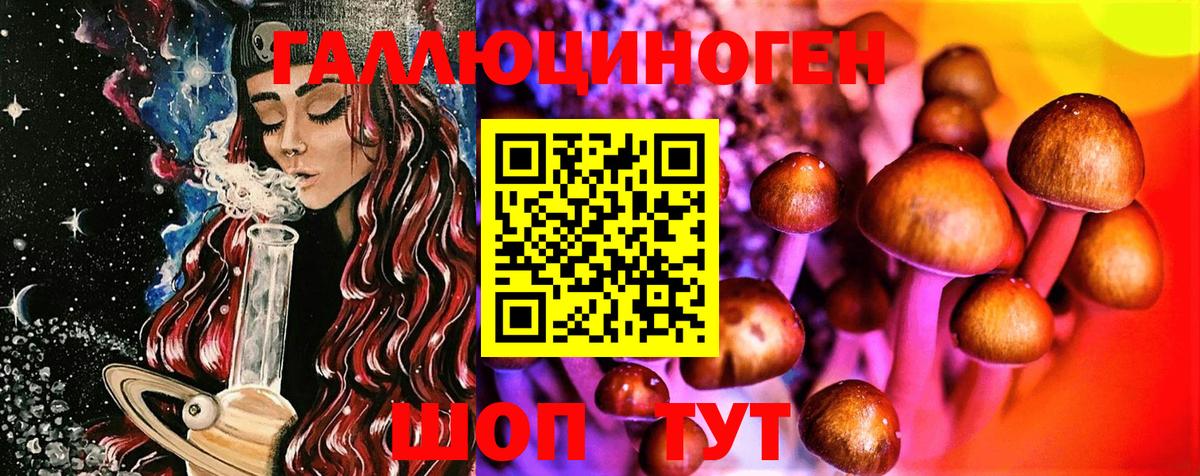 купить наркотики цена  Галлюциногенные грибы Psilocybe  Вход с VPN  Псилоцибиновые грибы GOLDEN TEACHER  Озёрск 